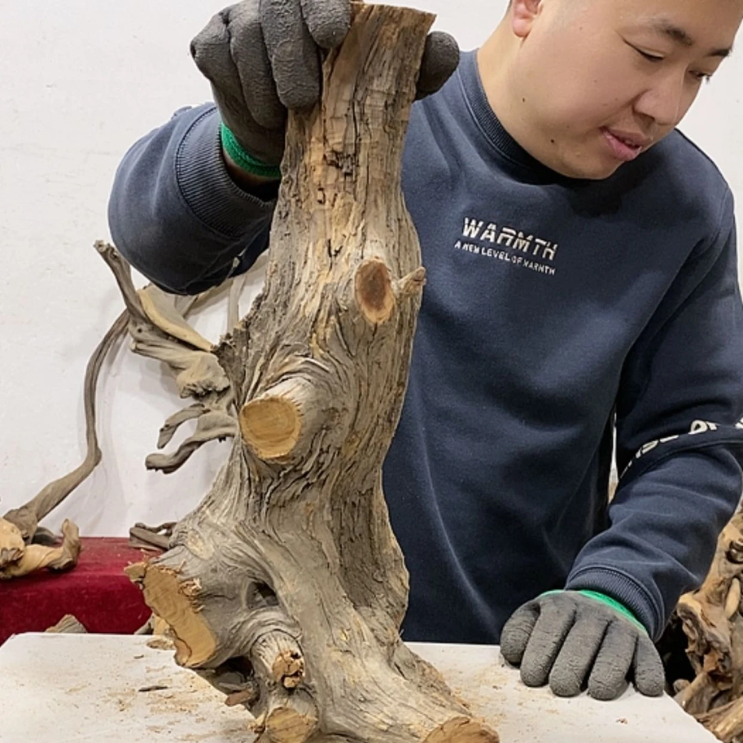 【闪购商品】柏木盛****）我们都是好孩子