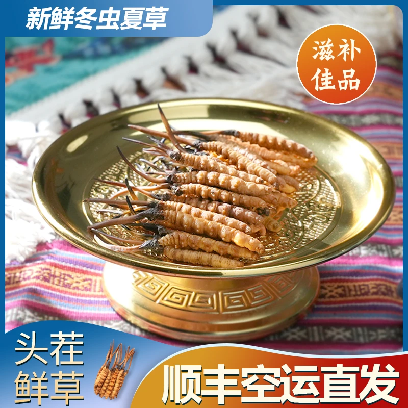 【玛朵专属】0.6-0.9克/根100根 2025新鲜冬虫夏草滋补品质送礼