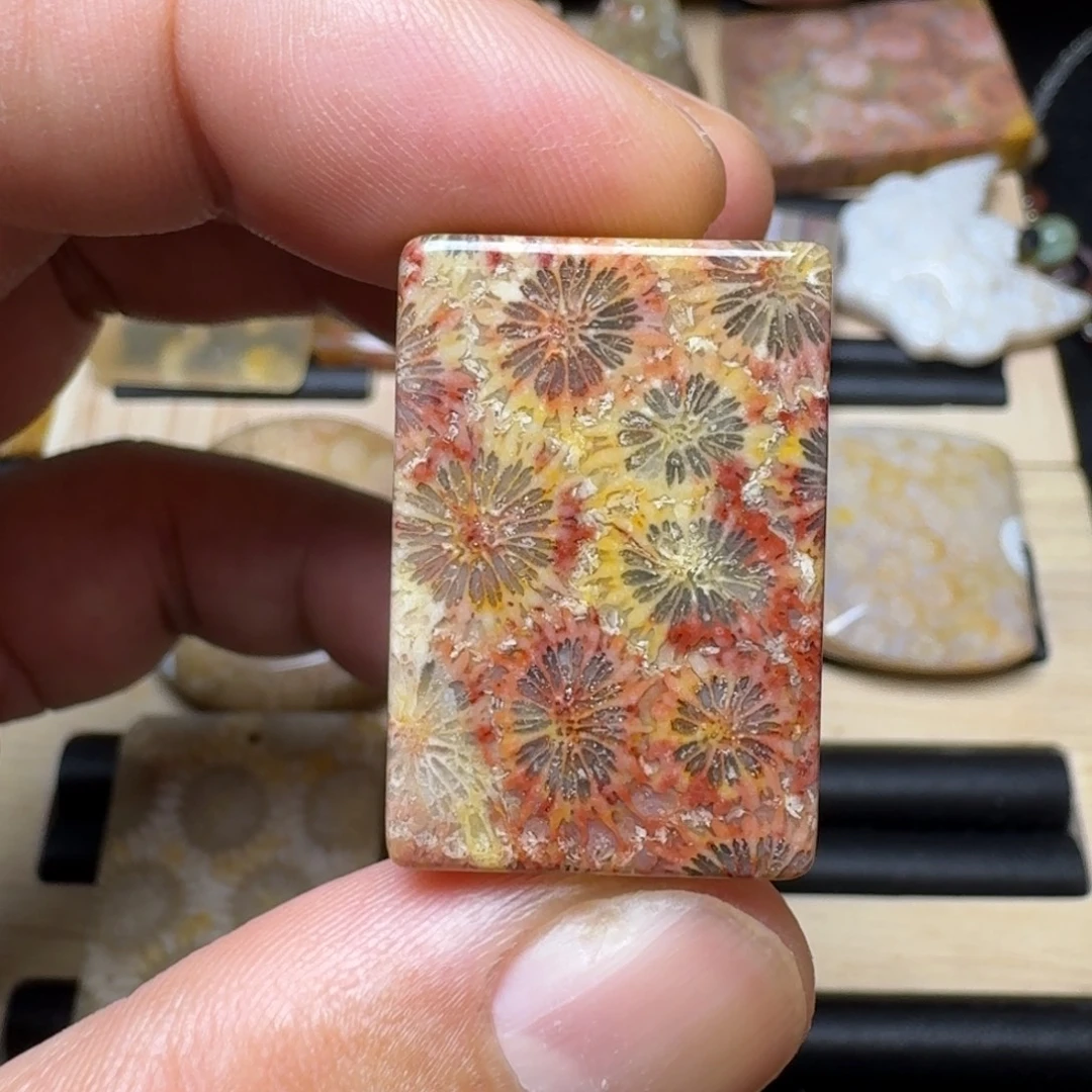 未镶嵌纯天然色有机玉石保真色硅化玉