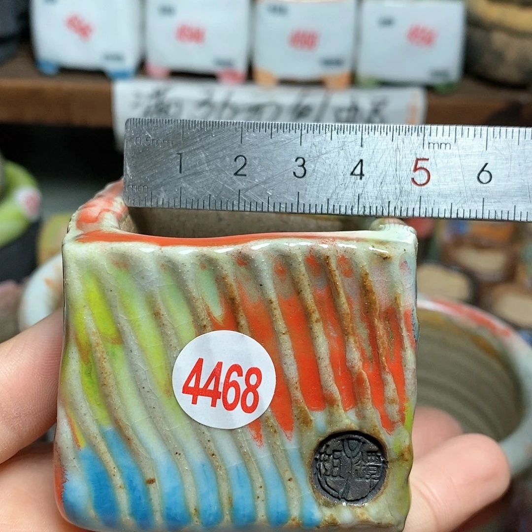 红陶峰***子处理，处理的