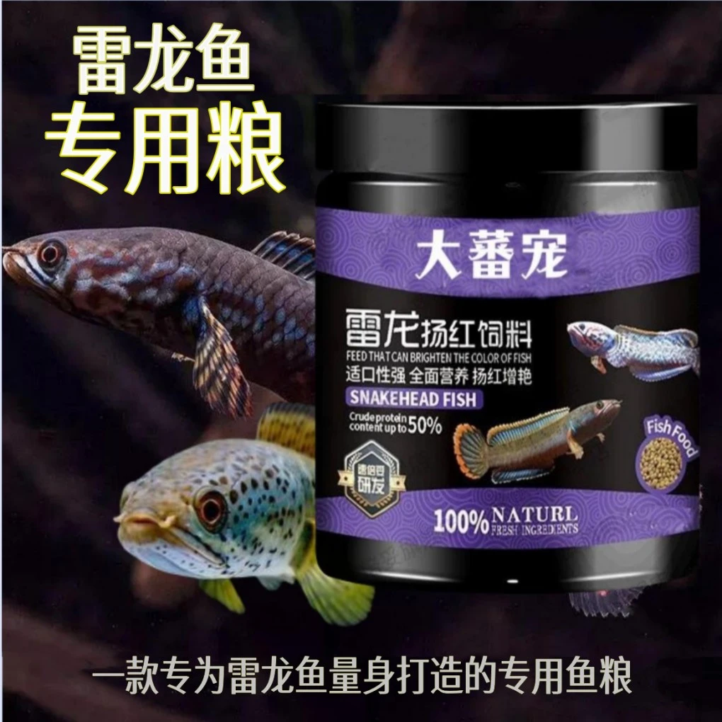 雷龙鱼食料七星鱼饲料七彩虹雷龙鱼食阿萨姆巴卡铅笔发色专用鱼粮