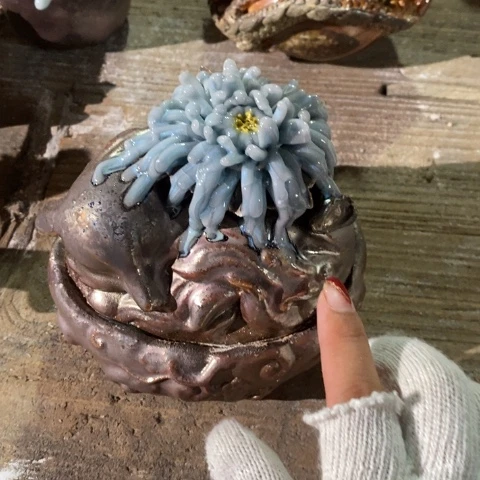 不***君根据咯啦咯啦咯啦咯啦咯啊啦啦啦啦