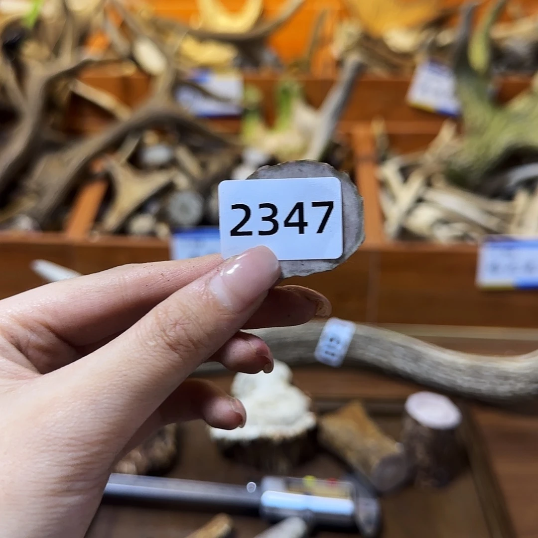 手串/手链鹿骨角片2347