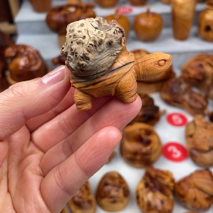 木太行陈化瘤乌龟鉴赏期48小时