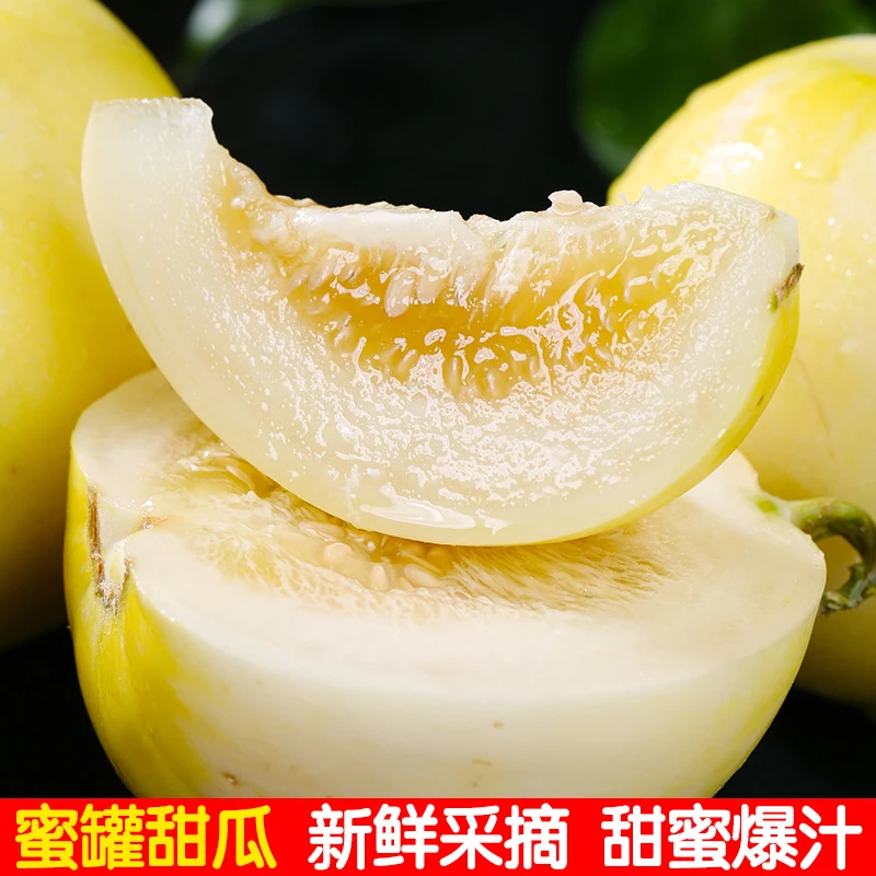 【顺丰包邮】正宗山东沂蒙山头茬小蜜蜂甜瓜产地直发新鲜香甜