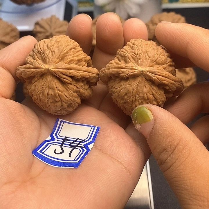 ****实把件文玩核桃43白狮子