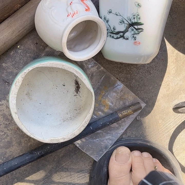 核桃木/黑胡桃（胡桃木）鹭*