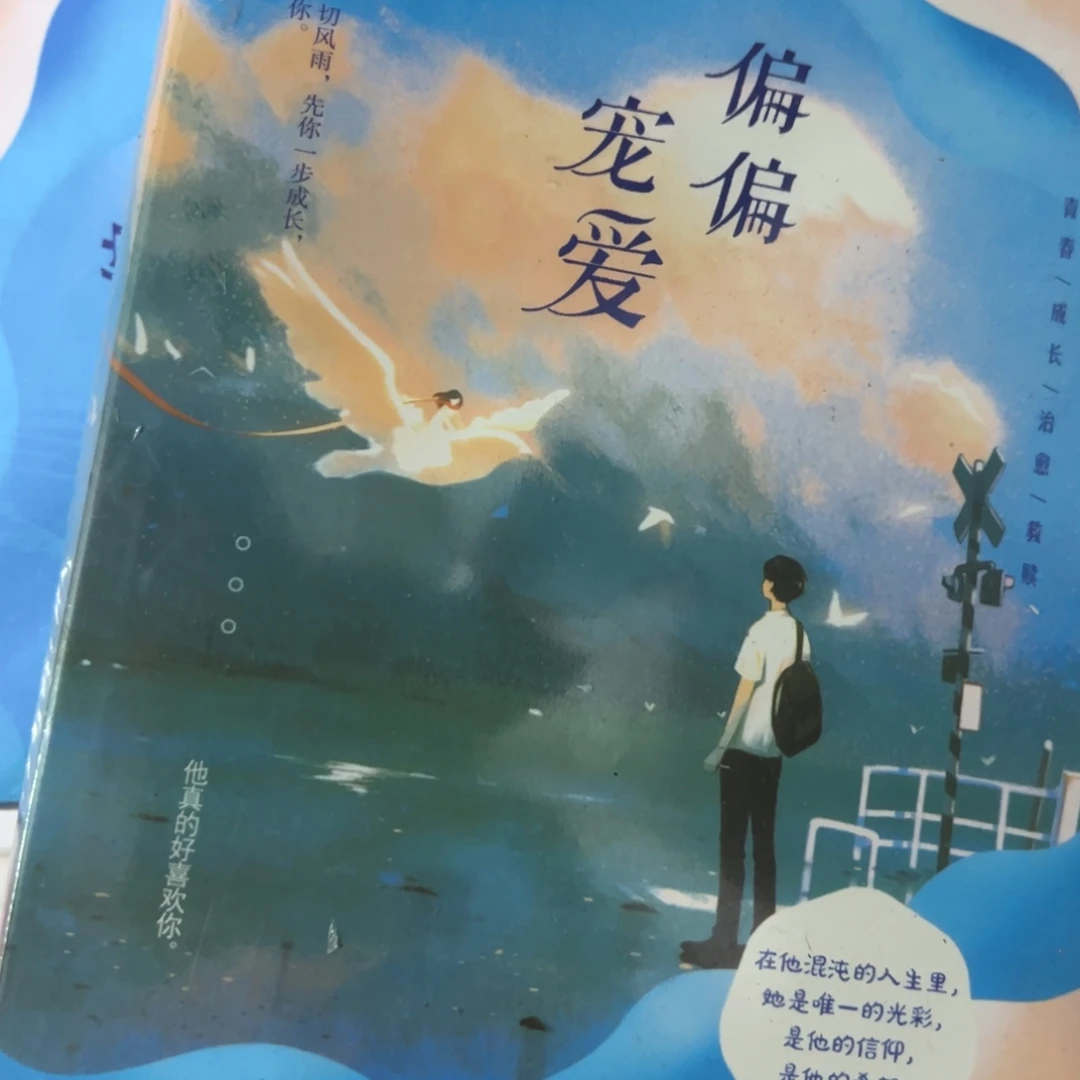 偏偏宠爱两本一套