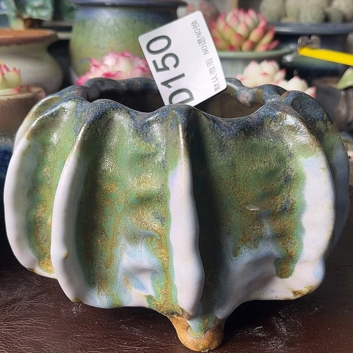 重庆小燕子欢迎大家150