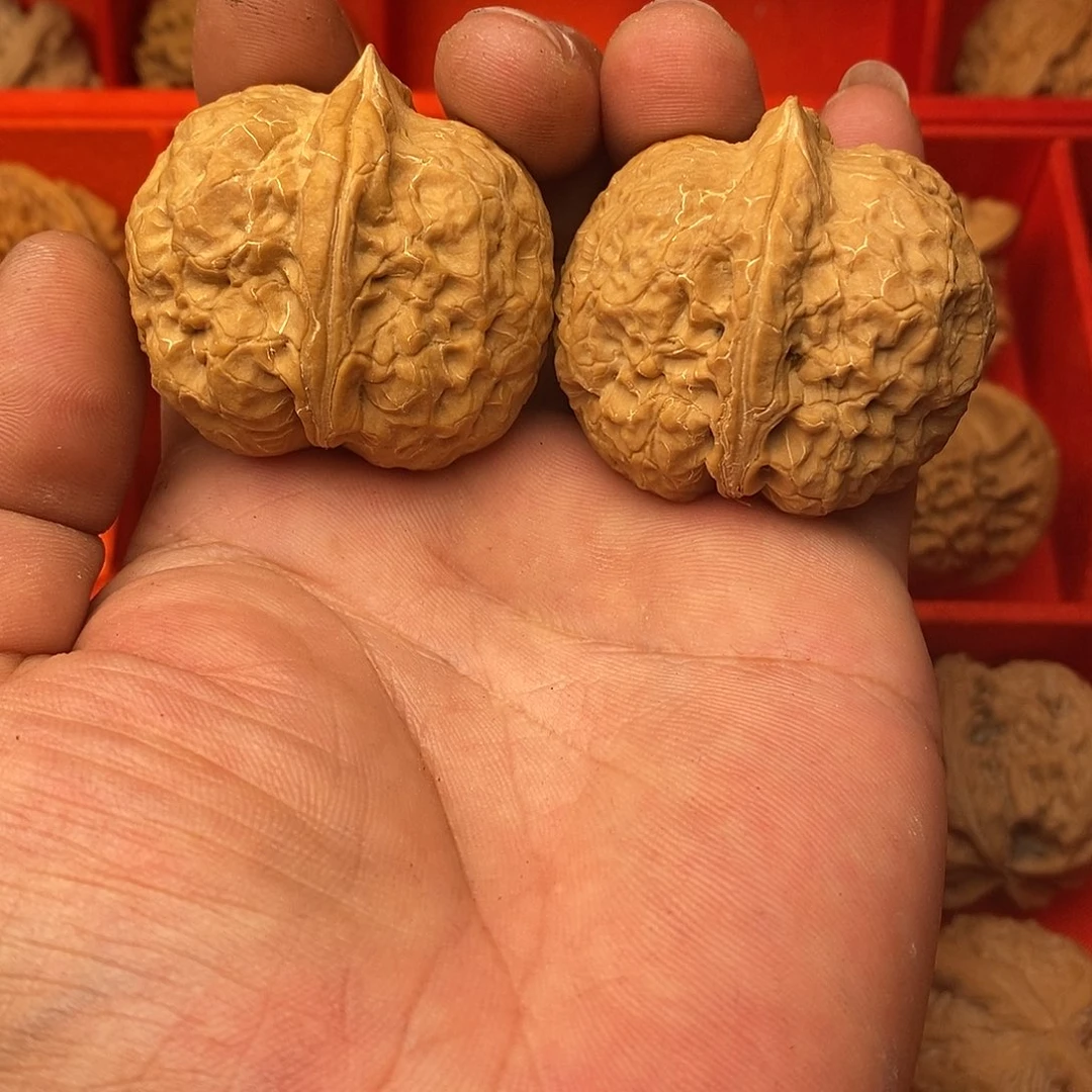 手串/手链核桃乌***格文玩核核桃桃111111111
