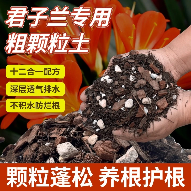 君子兰专用土营养土兰花土腐殖腐叶盆栽种植肥料疏松土壤家用透气