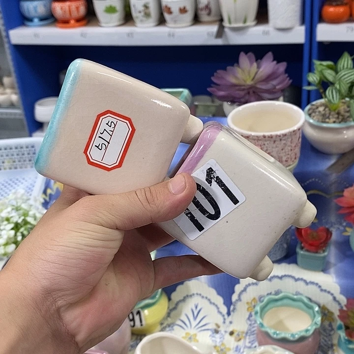 花盆抢购清货带微暇