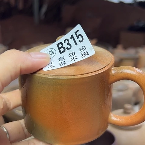 戬谷龙窑柴烧茶壶315