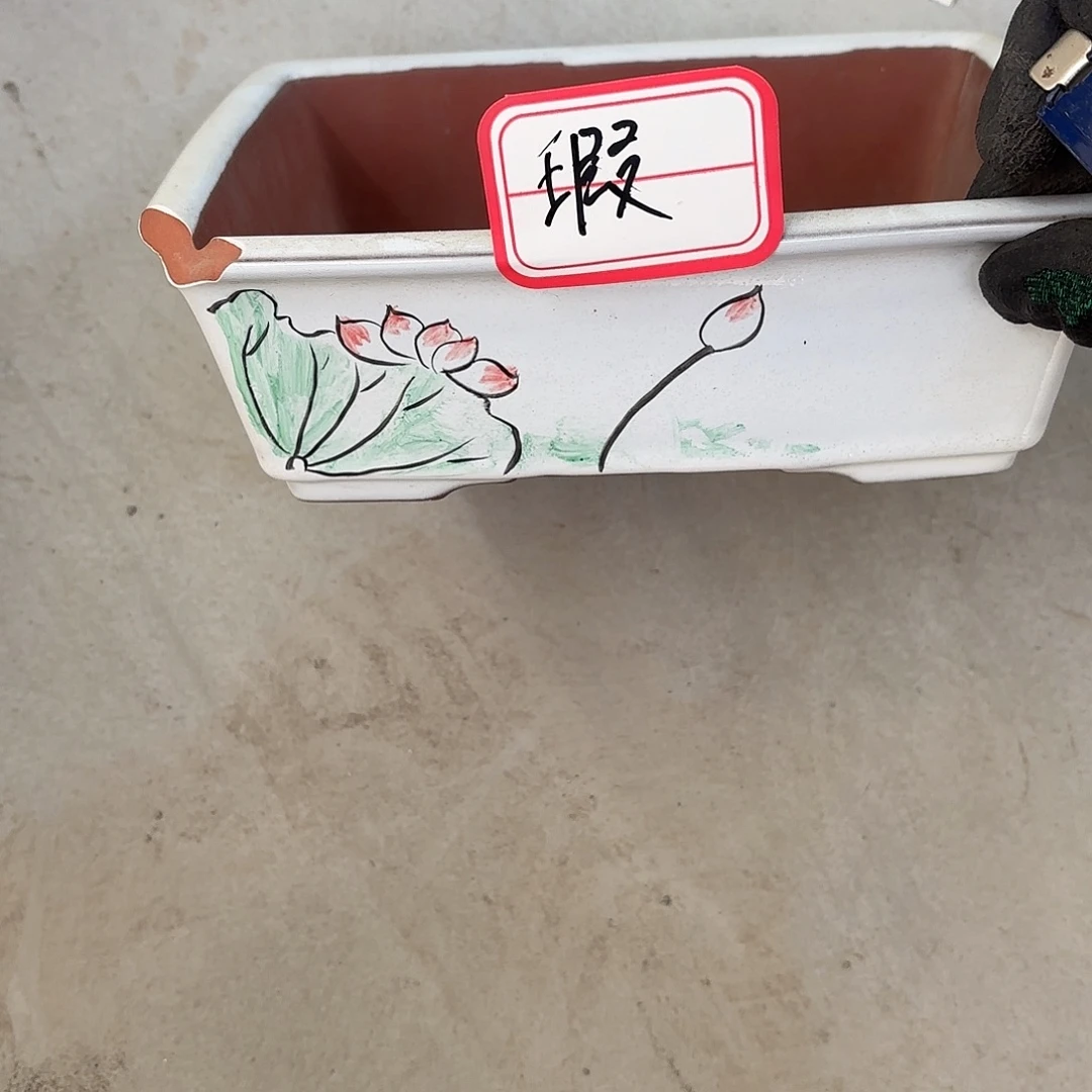 紫砂花盆18.5✖️5.5紫砂工艺品