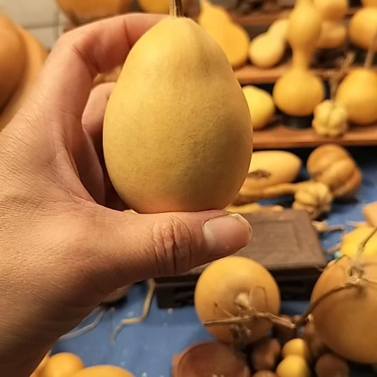 直播间专供链接葫芦