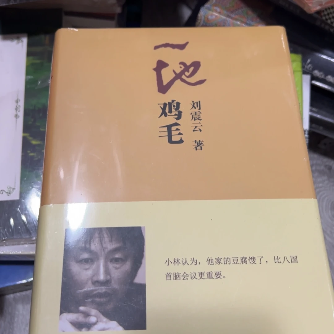 一地鸡毛九米一刚