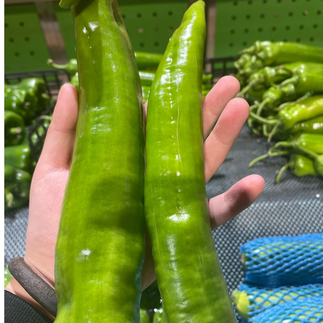 尖椒 约600g