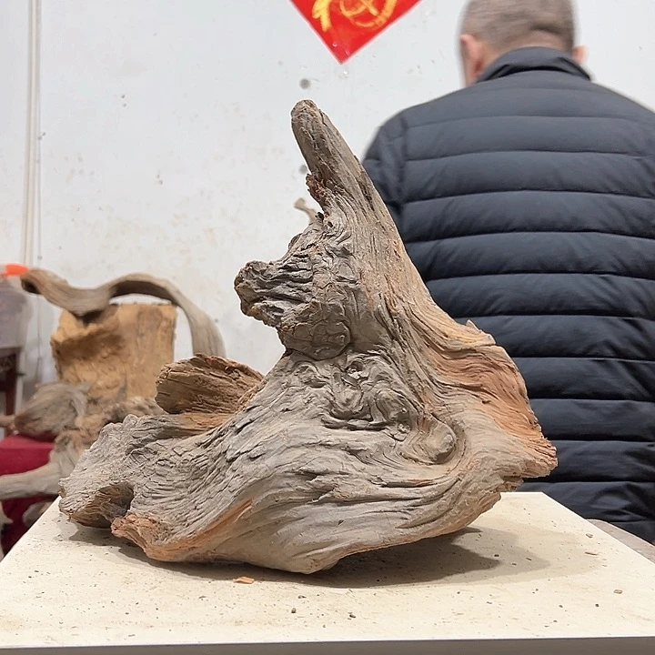 柏木J****邦我们都是好孩子啊我的