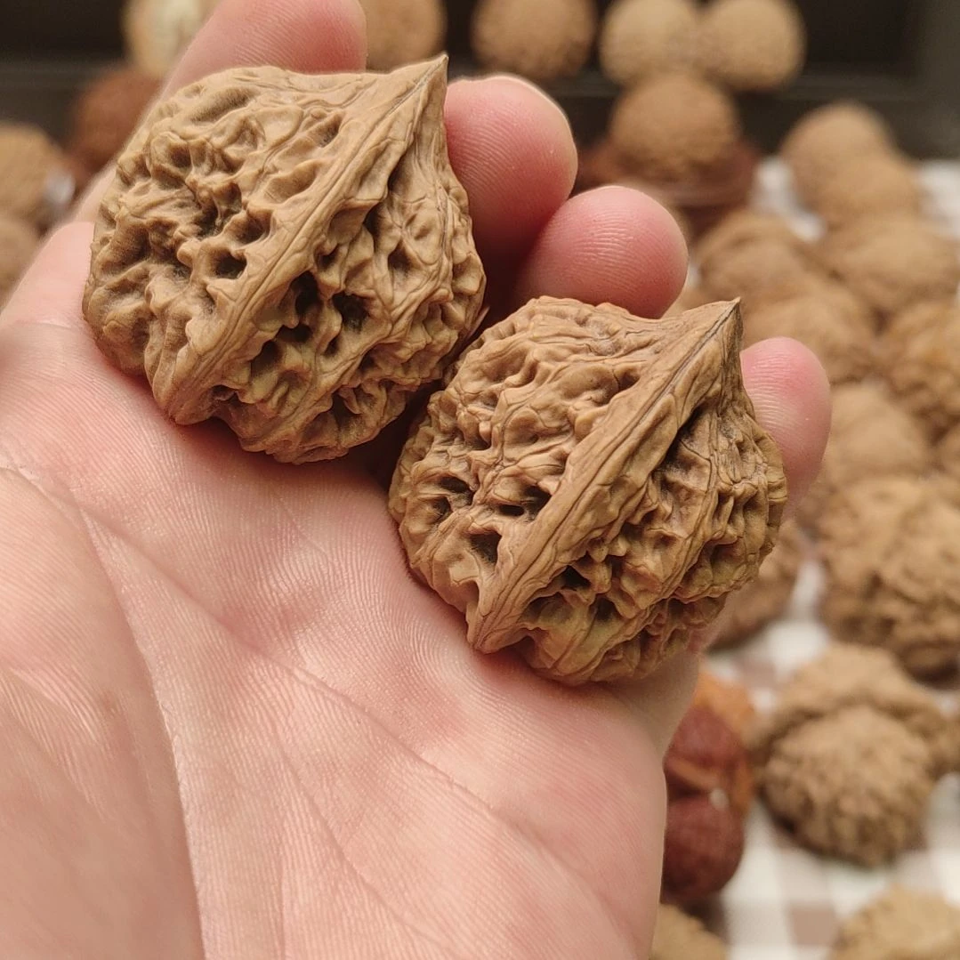 大叶紫檀（黑酸枝木类）蓟县山地鸡心手把件