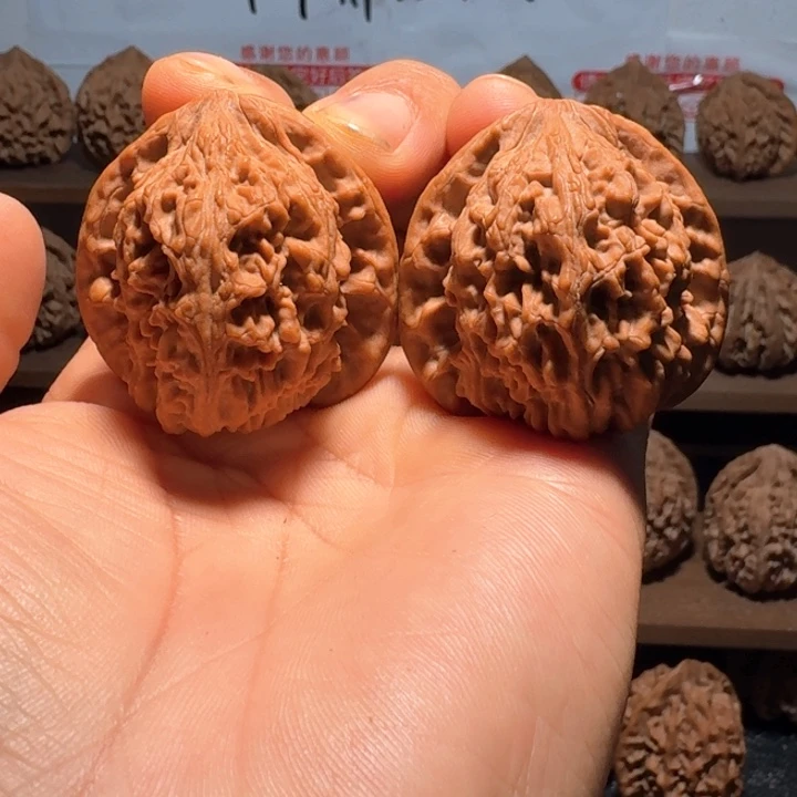 秦岭野生无名核桃