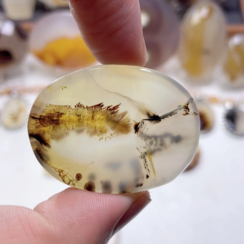 【闪购商品】玛瑙/玉髓颈饰未镶嵌