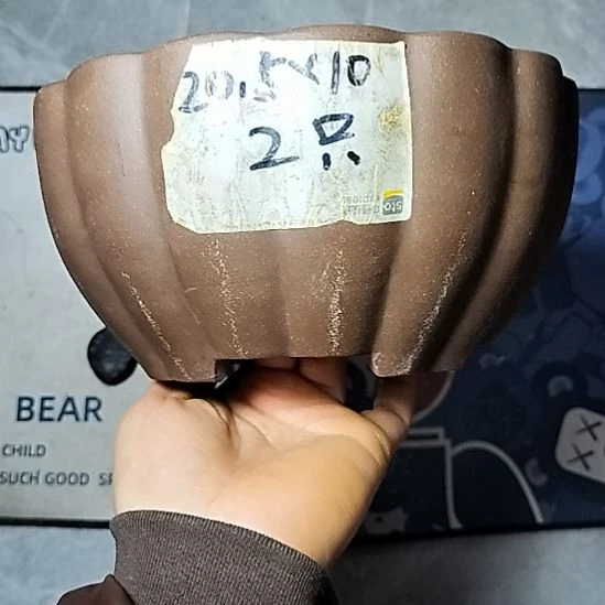 南瓜两个紫砂花盆