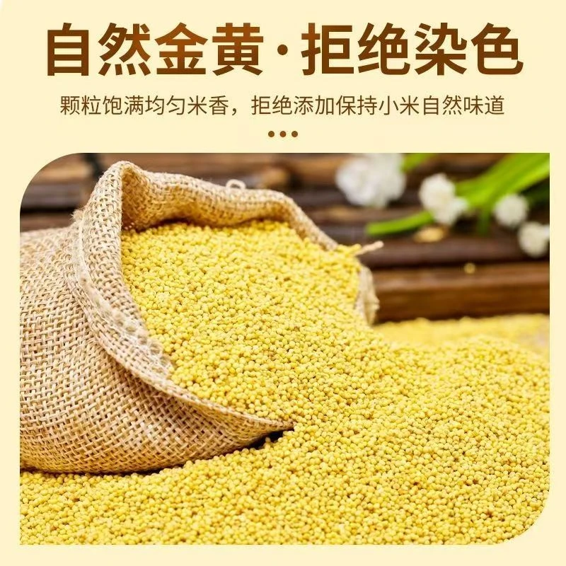 贵州特产新鲜老品种糯小米黏黄米做小米渣包粽子煮粥小米杂粮