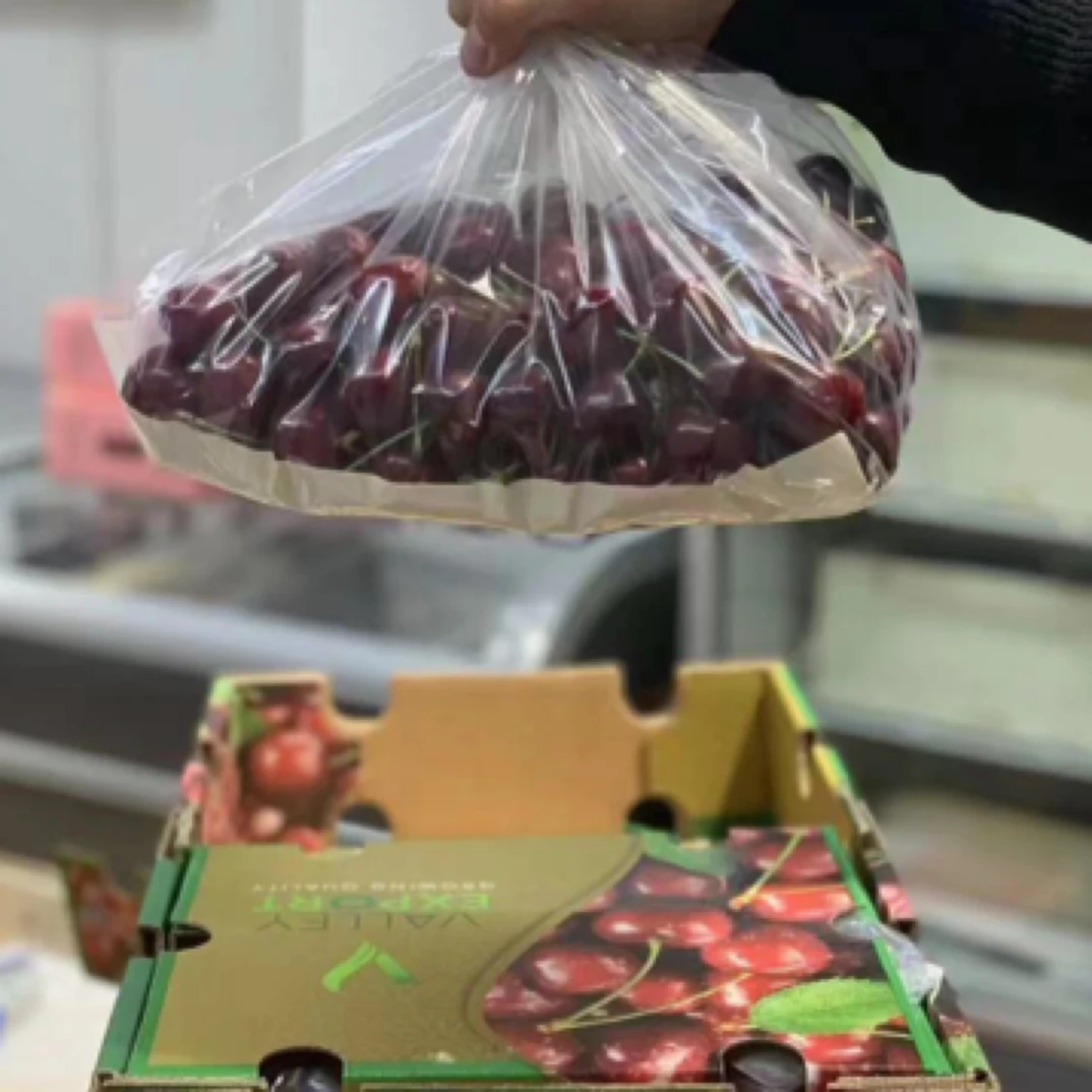 【今日达】智利海运拉宾斯车厘子4J一箱5斤脆甜多汁