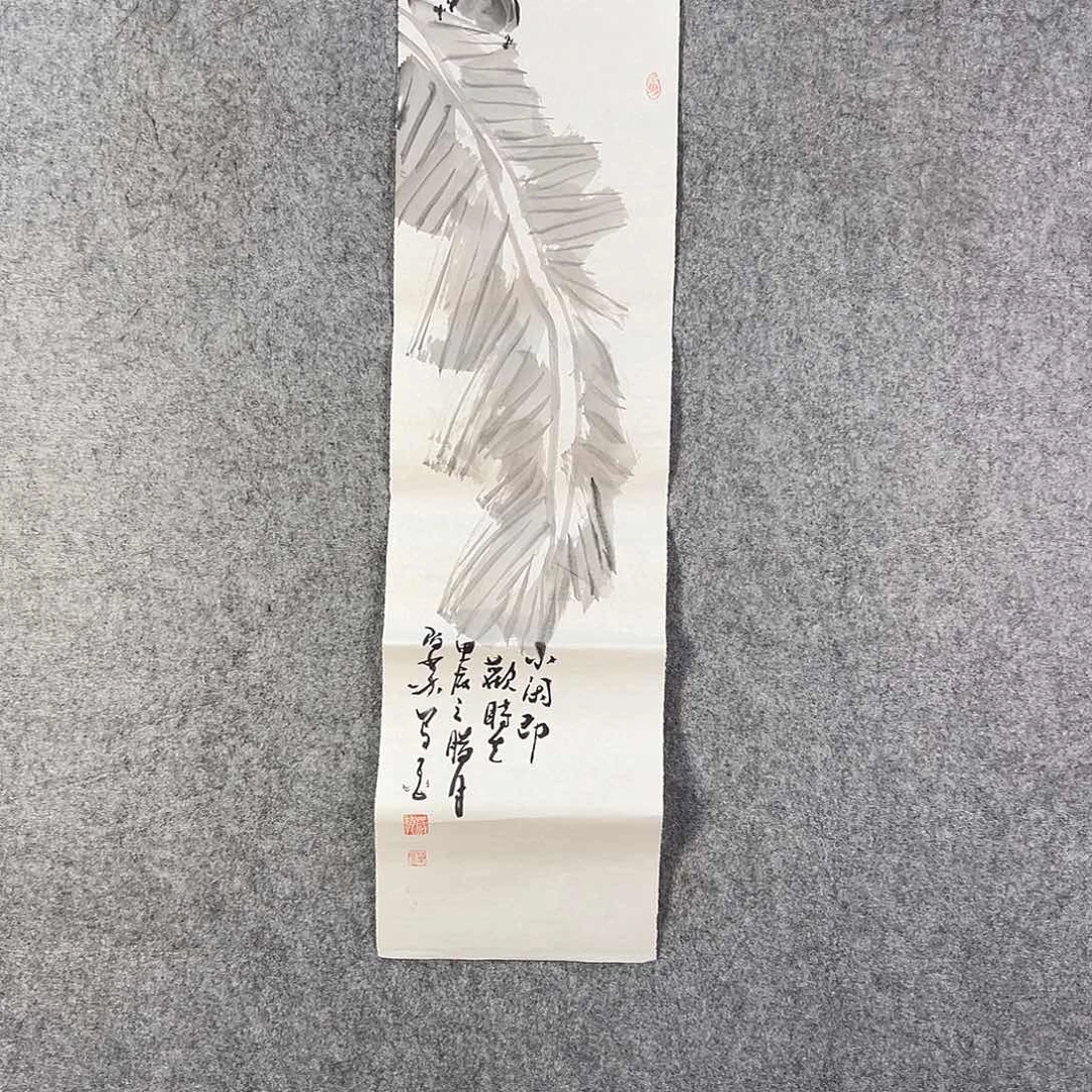 国画148 牡丹花等经济植物和花卉资源