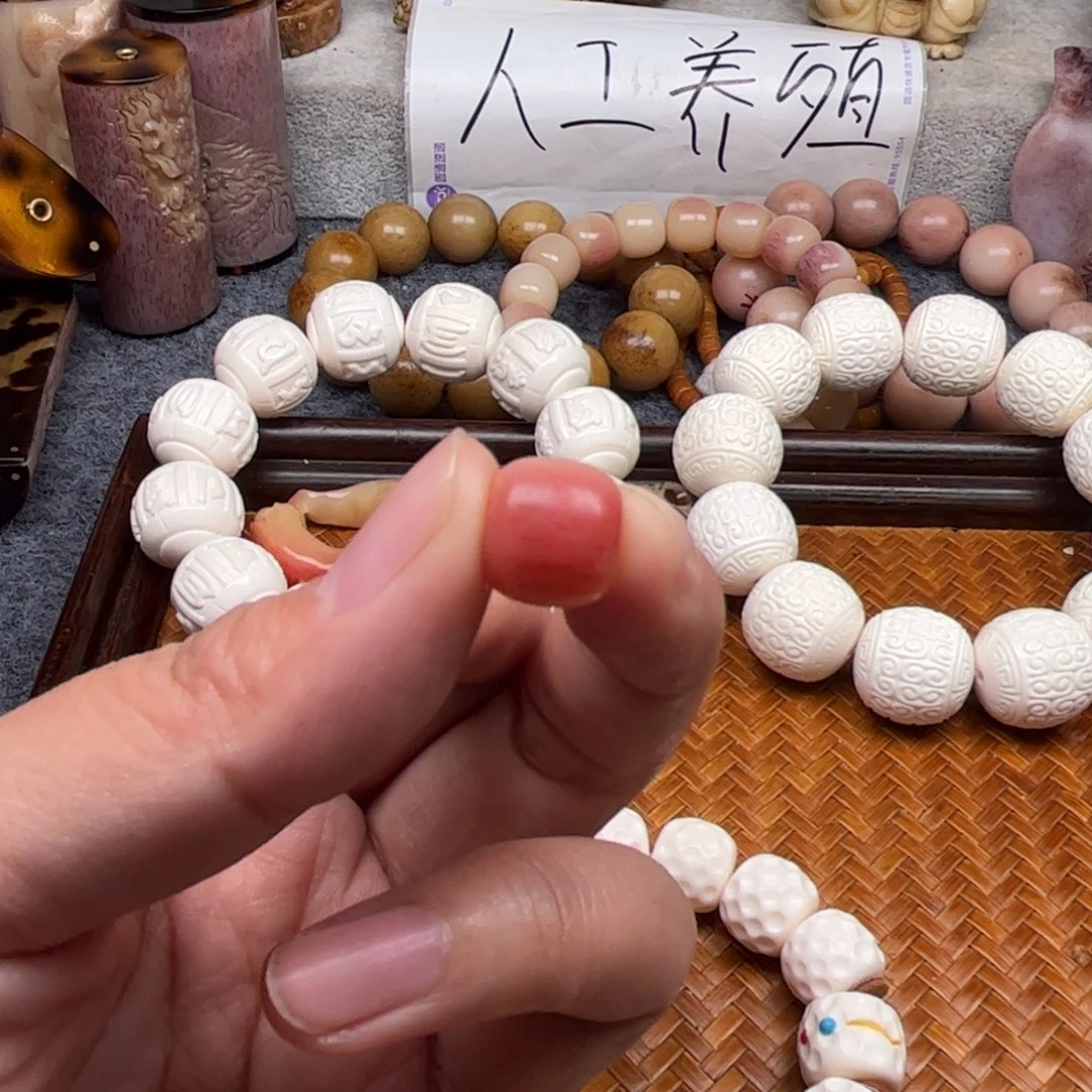 鹿骨其他人工养殖驼骨43