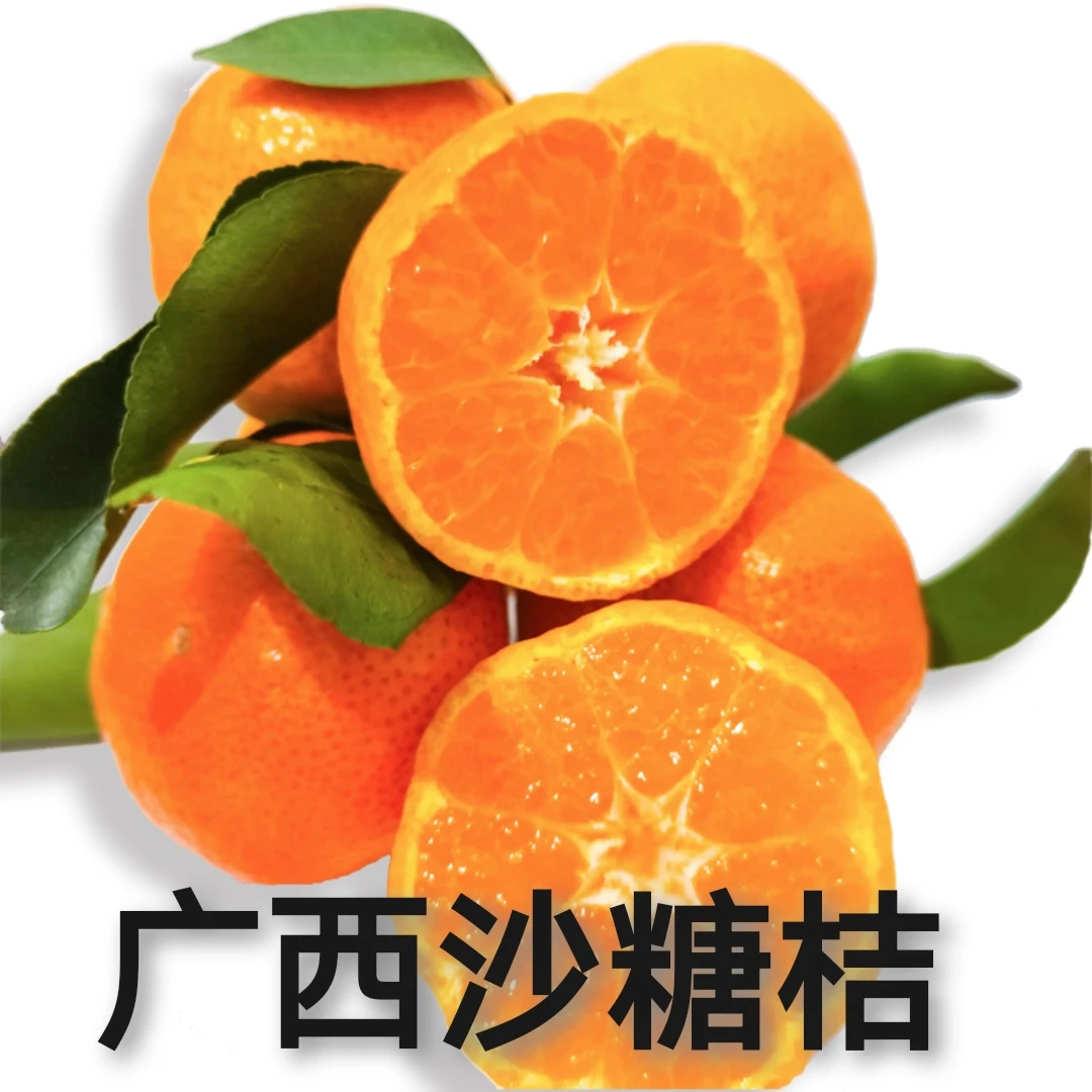 【正宗广西沙糖桔】新鲜砂糖橘橘子优质精选砂糖桔皮薄多汁现摘现发