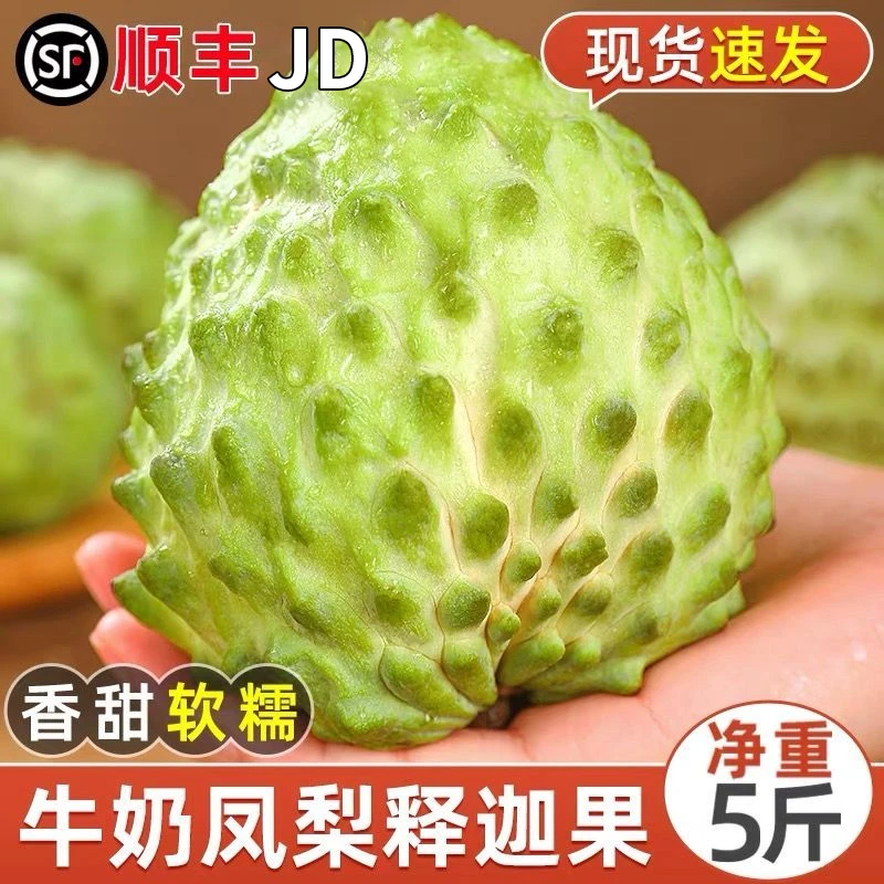 S1【顺丰JD】云南新鲜现摘释迦果凤梨番荔枝牛奶释迦果摩尼果大果