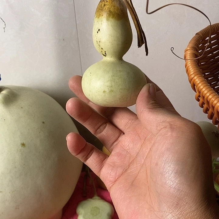 *****青皮葫芦手把件葫芦
