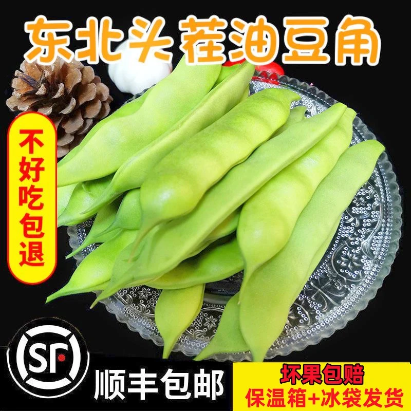 【顺丰空运】东北油豆角新鲜现摘现发九月青豆角3斤5斤开锅烂