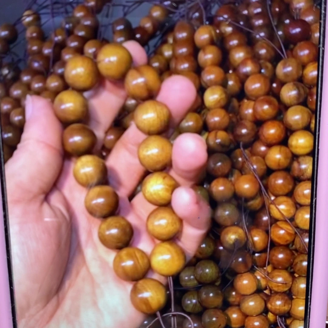 金丝楠1.5。福利。