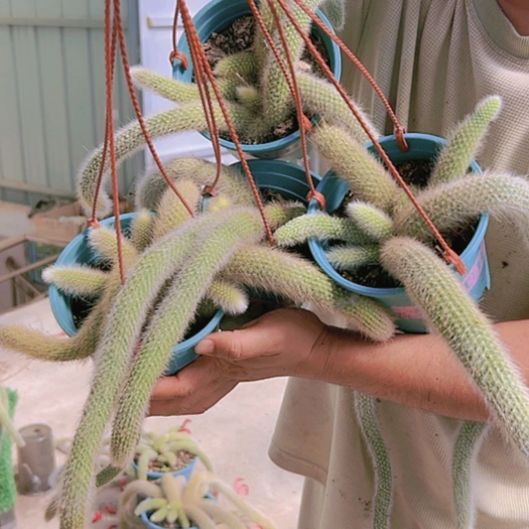 【闪购商品】完全开放13.8大群微瑕，偏远不拍