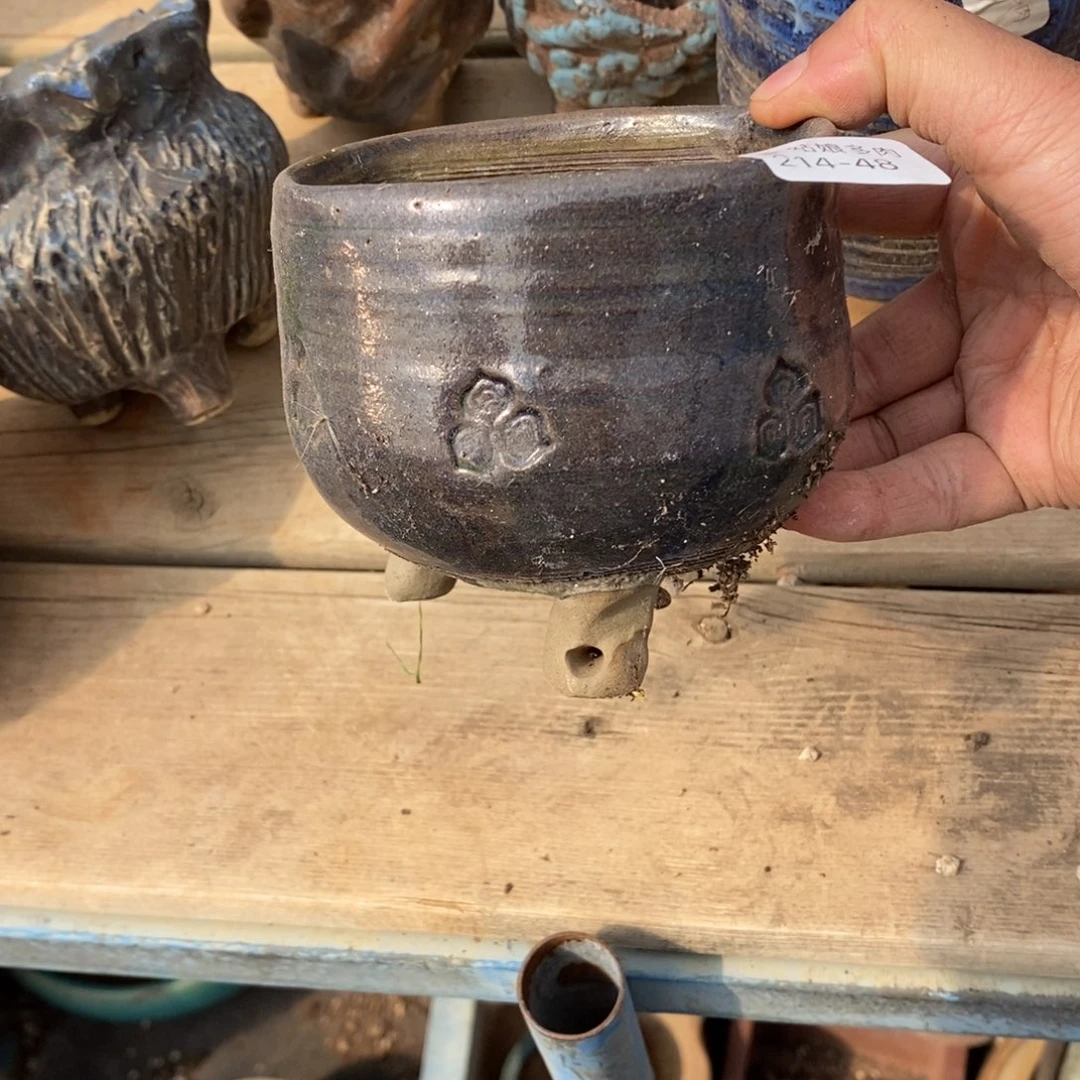 红陶@*M48号多肉盆一个呀