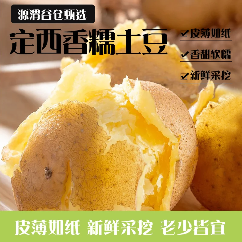 甘肃定西新土豆9斤黄皮黄心沙糯粉面