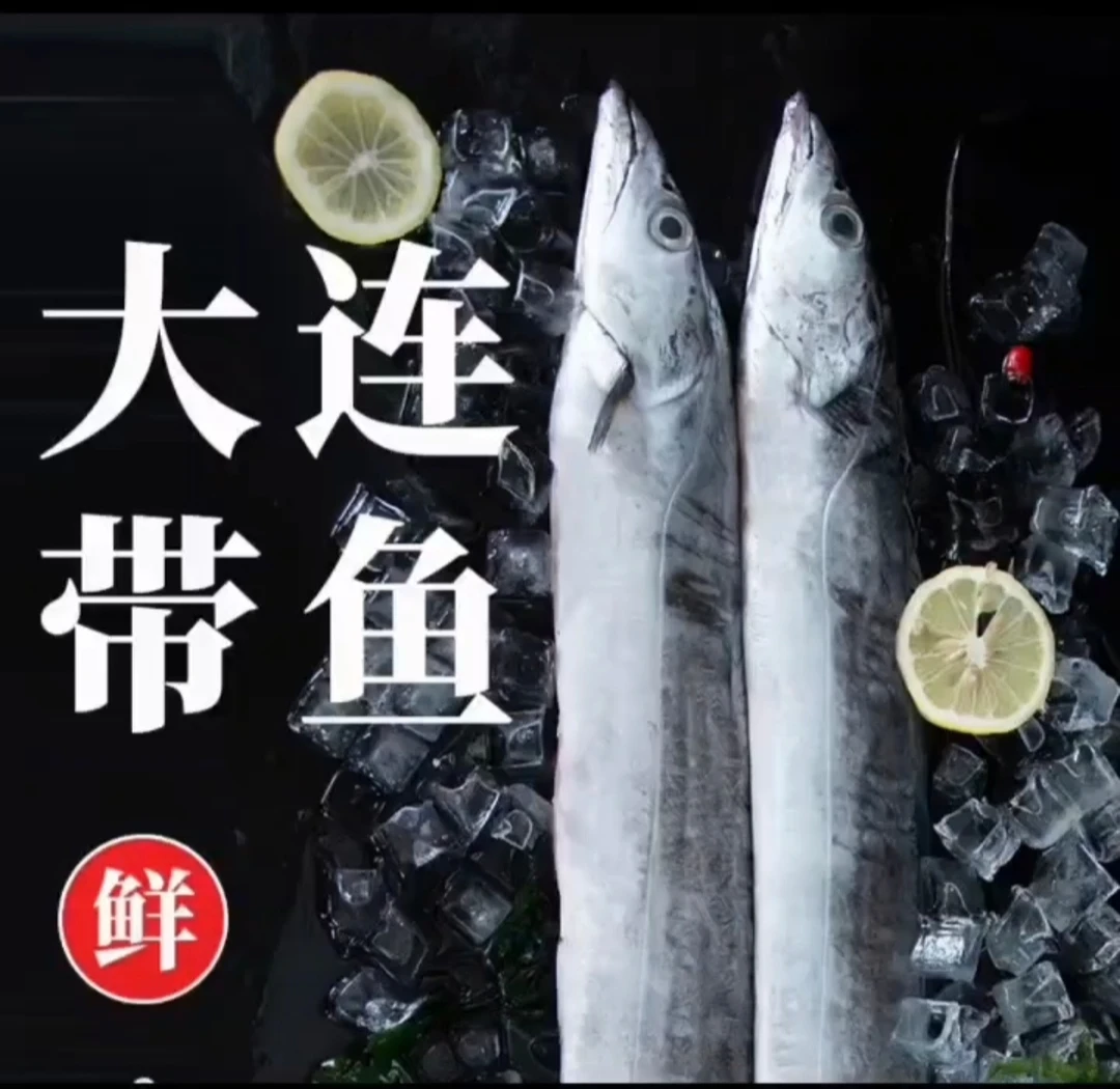 W（3.8-4.1斤）大连野生小眼油带鱼运输中有破肚滑皮介意勿拍