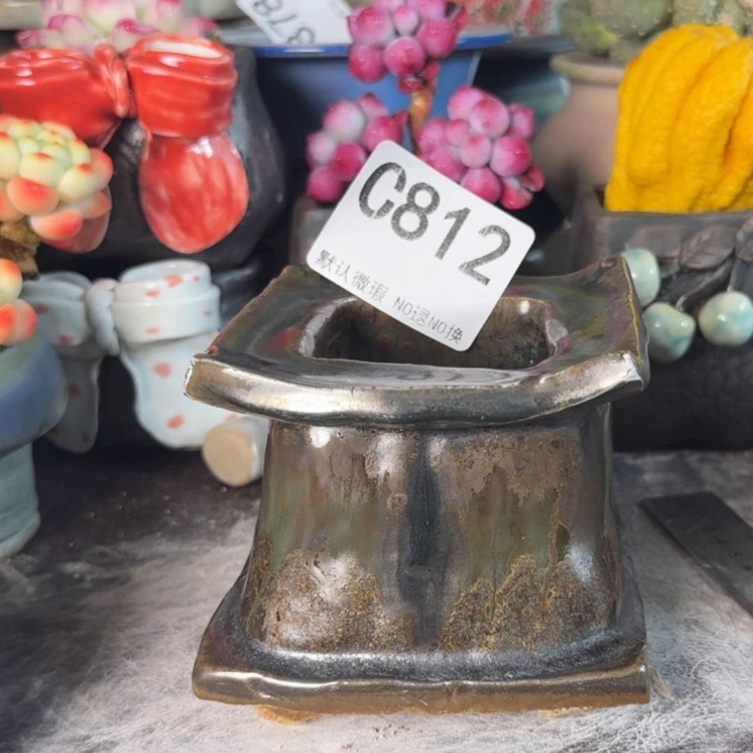 重庆小燕子欢迎大家812