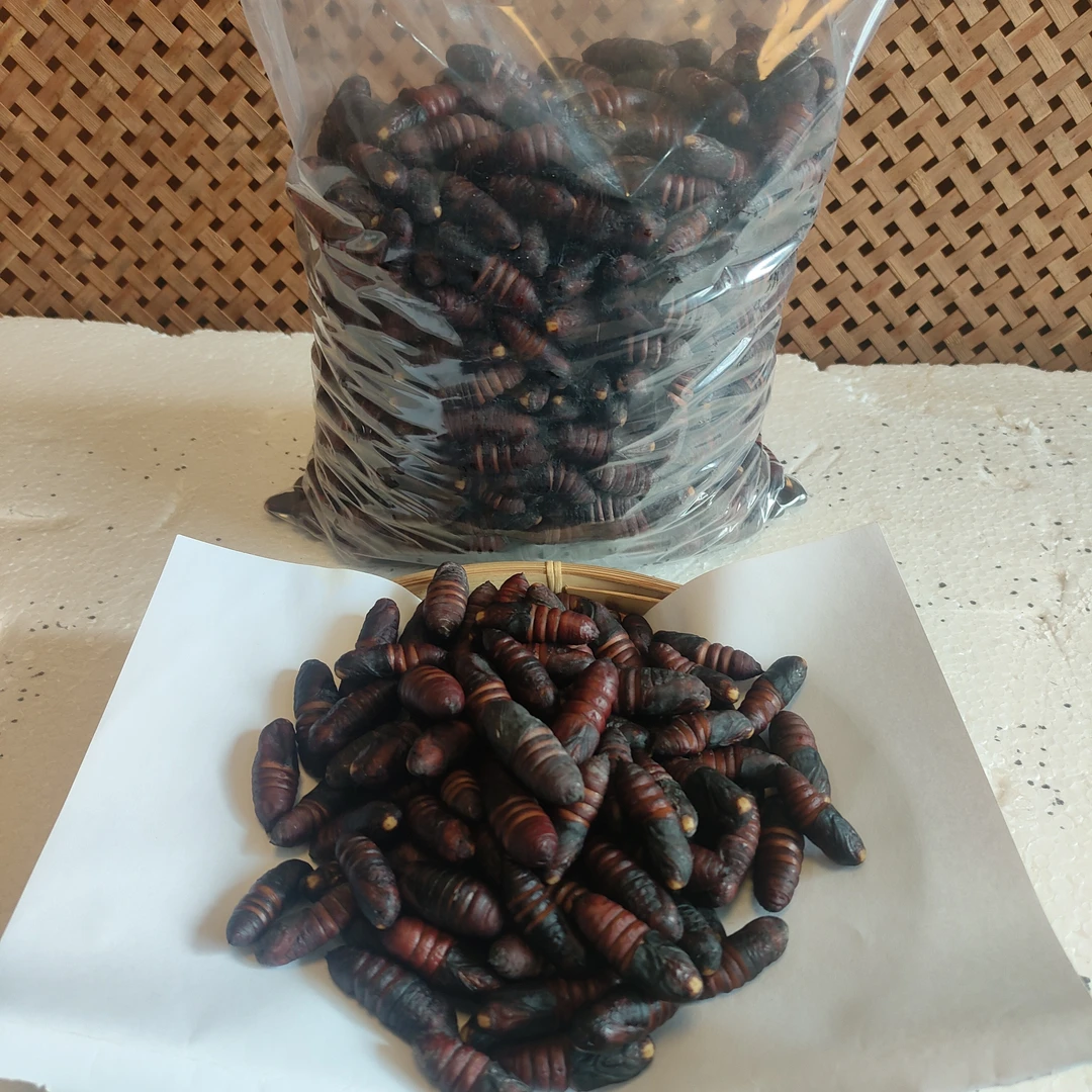 云南省凤庆散装新鲜核桃蚕蛹营养高蛋白直发包邮