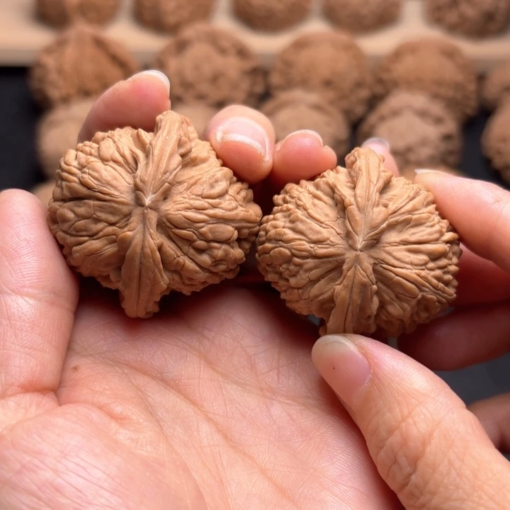 一***北把件文玩核桃39白狮子