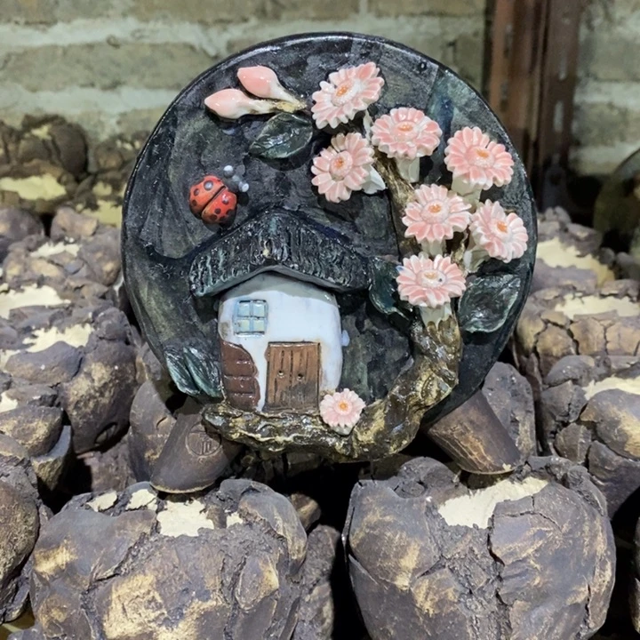 追***者内口10*6外高10/15左右