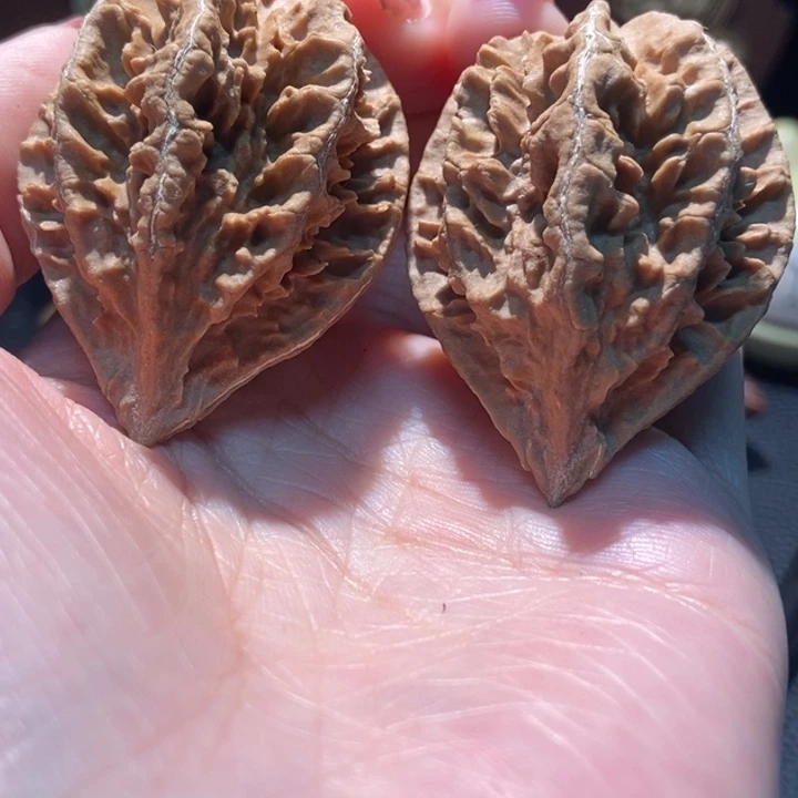 吊坠文玩核桃仑聚核财婉楸2