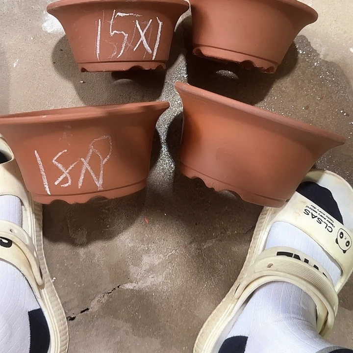 紫砂花盆破损包赔