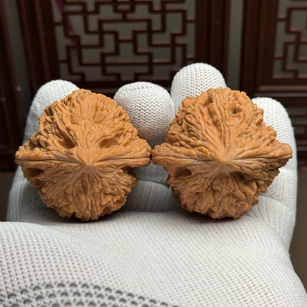 精选老树原桩大沽石，边44肚42高54，骨质好克重足一物一图精配全品