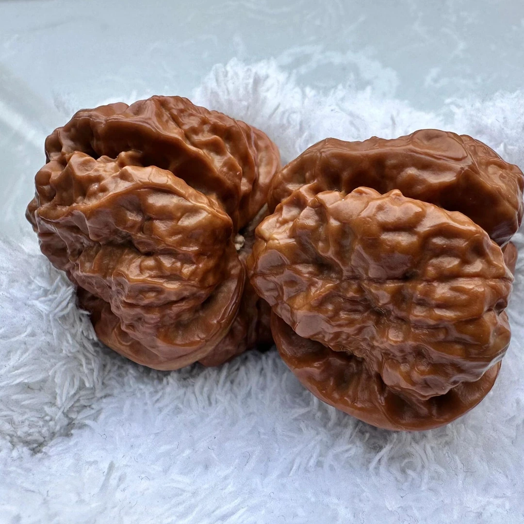 核桃直播专属链接（请勿私拍）