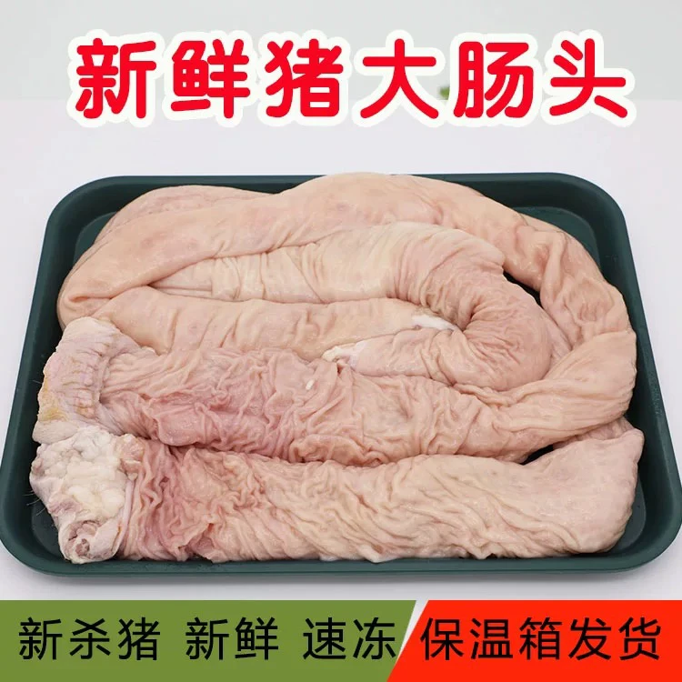 东北土猪新鲜带钢圈大肠头，顺丰包邮