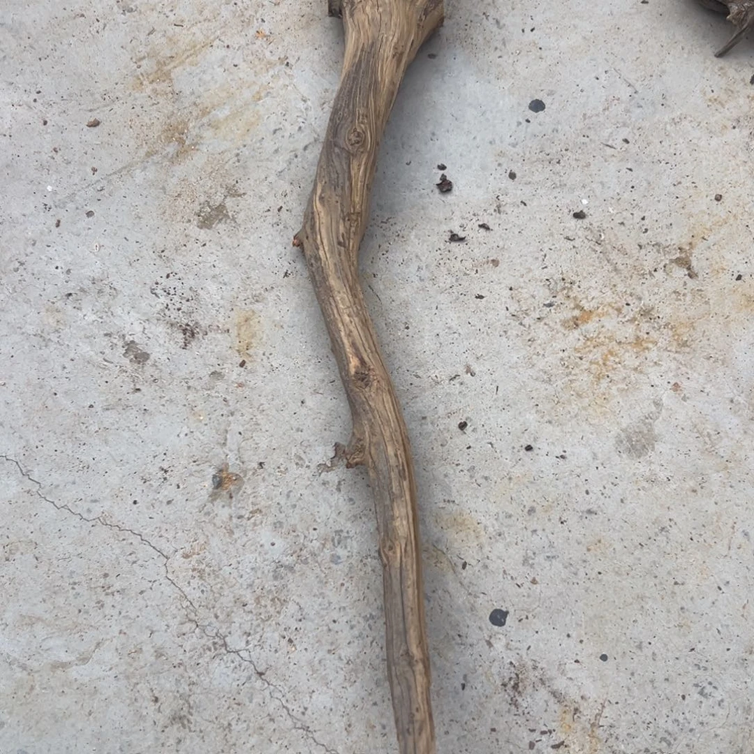 柏木（崖柏）太行陈化棍子