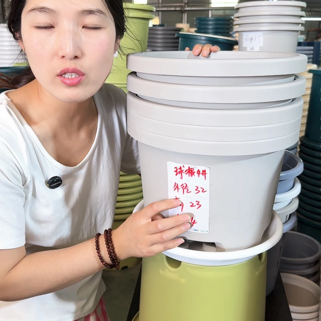 球根4#无拖灰白5个